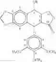 Fig. 06 - Podophyllotoxin derivatives