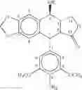 Fig. 07 - Podophyllotoxin derivatives
