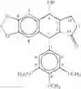 Fig. 10 - Podophyllotoxin derivatives