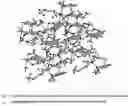 Fig. 02 - Solid state forms of 5-(difluoro-methoxy)-2-((3,4-dimethoxy-2-pyridinyl)-methyl) sulfinyl]-1H-benzimidazole sodium aquo complexes