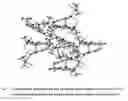 Fig. 06 - Solid state forms of 5-(difluoro-methoxy)-2-((3,4-dimethoxy-2-pyridinyl)-methyl) sulfinyl]-1H-benzimidazole sodium aquo complexes