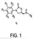 Fig. 02 - Oxazolidinone combinatorial libraries, compositions and methods of preparation
