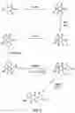 Fig. 04 - Oxazolidinone combinatorial libraries, compositions and methods of preparation