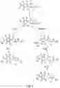 Fig. 06 - Oxazolidinone combinatorial libraries, compositions and methods of preparation