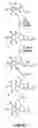 Fig. 07 - Oxazolidinone combinatorial libraries, compositions and methods of preparation