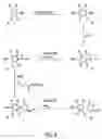Fig. 09 - Oxazolidinone combinatorial libraries, compositions and methods of preparation