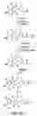 Fig. 11 - Oxazolidinone combinatorial libraries, compositions and methods of preparation