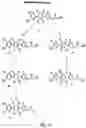 Fig. 12 - Oxazolidinone combinatorial libraries, compositions and methods of preparation