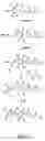 Fig. 13 - Oxazolidinone combinatorial libraries, compositions and methods of preparation