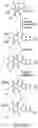 Fig. 14 - Oxazolidinone combinatorial libraries, compositions and methods of preparation