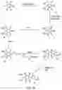 Fig. 15 - Oxazolidinone combinatorial libraries, compositions and methods of preparation