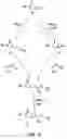 Fig. 16 - Oxazolidinone combinatorial libraries, compositions and methods of preparation