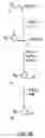 Fig. 17 - Oxazolidinone combinatorial libraries, compositions and methods of preparation