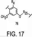 Fig. 18 - Oxazolidinone combinatorial libraries, compositions and methods of preparation