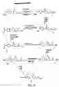 Fig. 19 - Oxazolidinone combinatorial libraries, compositions and methods of preparation