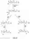 Fig. 22 - Oxazolidinone combinatorial libraries, compositions and methods of preparation