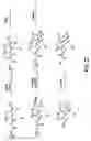 Fig. 24 - Oxazolidinone combinatorial libraries, compositions and methods of preparation