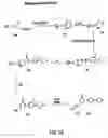 Fig. 26 - Oxazolidinone combinatorial libraries, compositions and methods of preparation