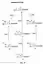 Fig. 28 - Oxazolidinone combinatorial libraries, compositions and methods of preparation