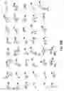 Fig. 35 - Oxazolidinone combinatorial libraries, compositions and methods of preparation