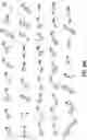 Fig. 37 - Oxazolidinone combinatorial libraries, compositions and methods of preparation