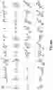 Fig. 50 - Oxazolidinone combinatorial libraries, compositions and methods of preparation