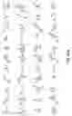 Fig. 52 - Oxazolidinone combinatorial libraries, compositions and methods of preparation