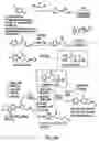 Fig. 59 - Oxazolidinone combinatorial libraries, compositions and methods of preparation