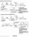 Fig. 60 - Oxazolidinone combinatorial libraries, compositions and methods of preparation