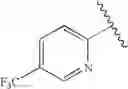 Fig. 247 - Pyrazole-amide compounds useful as kinase inhibitors