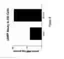 Fig. 03 - Human G protein-coupled receptors and modulators thereof for the treatment of metabolic-related disorders