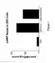 Fig. 08 - Human G protein-coupled receptors and modulators thereof for the treatment of metabolic-related disorders