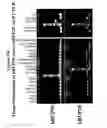 Fig. 16 - Human G protein-coupled receptors and modulators thereof for the treatment of metabolic-related disorders