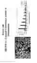 Fig. 18 - Human G protein-coupled receptors and modulators thereof for the treatment of metabolic-related disorders