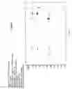 Fig. 08 - Polyene polyketides, processes for their production and their use as pharmaceuticals