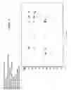Fig. 15 - Polyene polyketides, processes for their production and their use as pharmaceuticals