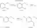 Fig. 111 - 2-iminopyrrolidine derivatives