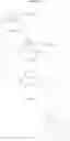 Fig. 115 - 2-iminopyrrolidine derivatives