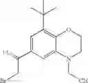 Fig. 159 - 2-iminopyrrolidine derivatives