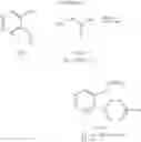 Fig. 22 - 2-iminopyrrolidine derivatives