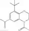 Fig. 239 - 2-iminopyrrolidine derivatives