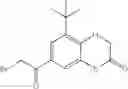 Fig. 276 - 2-iminopyrrolidine derivatives