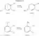 Fig. 31 - 2-iminopyrrolidine derivatives