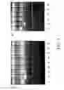 Fig. 02 - Aryl-substituted acyclic enediyne compounds