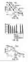 Fig. 04 - Methods for prevention and treatment of gastrointestinal disorders