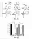Fig. 06 - Methods for prevention and treatment of gastrointestinal disorders