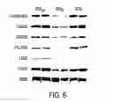 Fig. 09 - Methods for prevention and treatment of gastrointestinal disorders