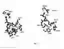 Fig. 02 - Oxidoreductase inhibitors and methods of screening and using thereof