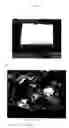 Fig. 02 - Process for producing porous composite materials