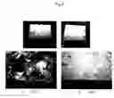 Fig. 07 - Process for producing porous composite materials